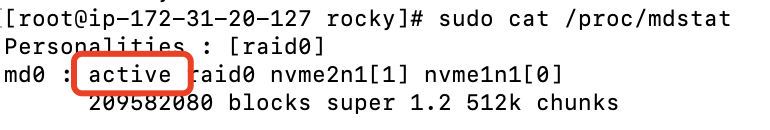 查看 raid0 卷的状态