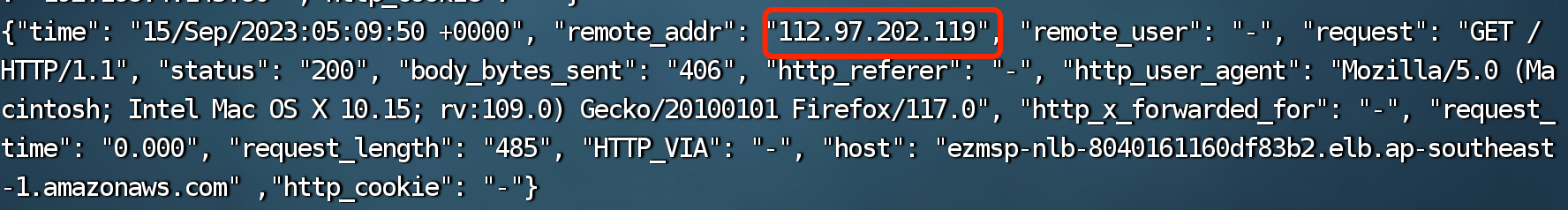 Tail Nginx访问日志 - 访问IP为公网IP