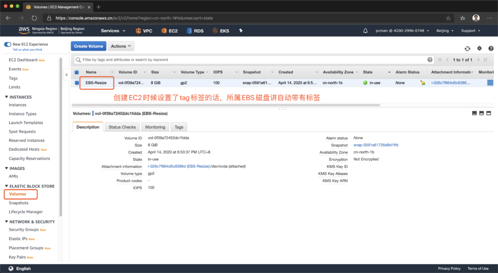 查找带有标签的EBS磁盘