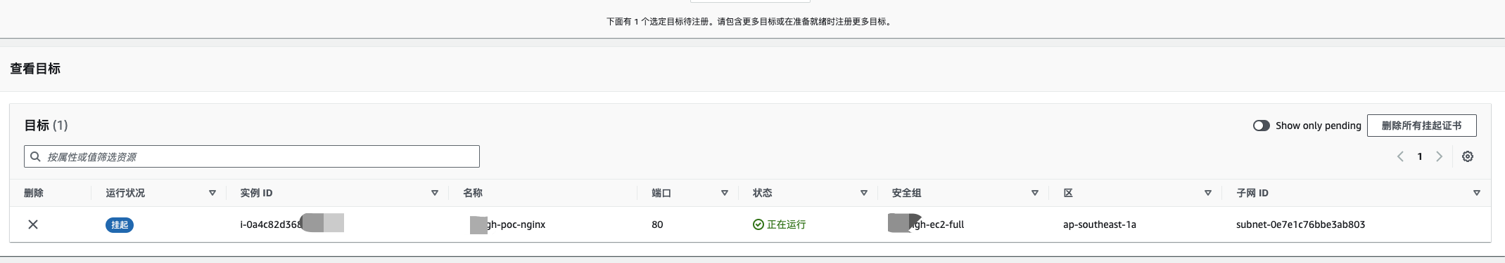 注册目标 - 演示一台服务器为目标