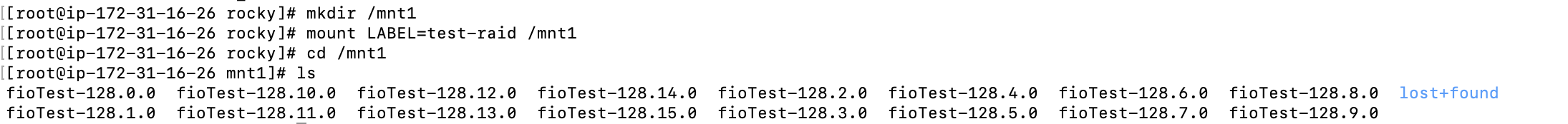 创建/mnt1 目录将 raid 0挂载到/mnt1 下面查看文件