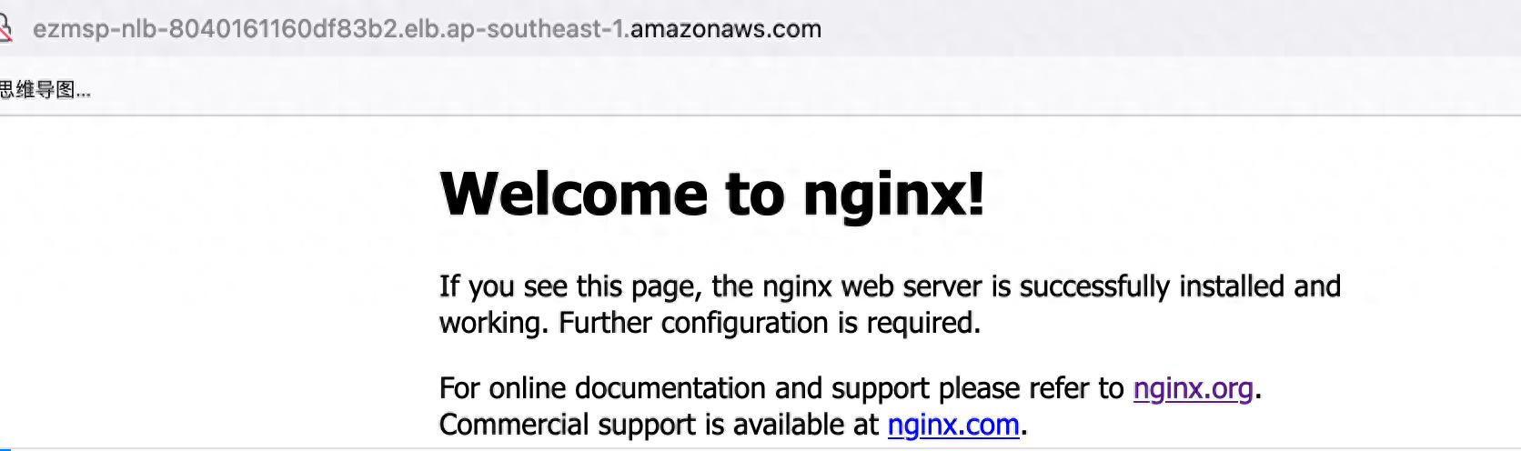 访问NLB的DNS - 保留客户端IP选项